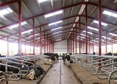 Lekkie rzucające farmy stalowe o wysokiej wytrzymałości do budowy bydła z prefabrykatów 9406000090