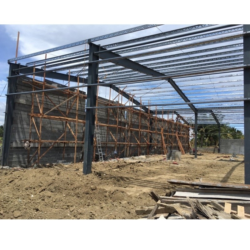 Wywóz na Filipiny Brick Wall Hot Dip Galvanized C-Shaped Steel Galvanized Frame For Warehouse Building