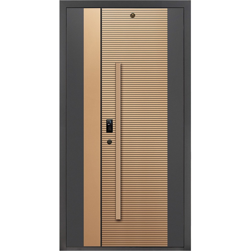 Nowoczesne drzwi wejściowe ze stali nierdzewnej drzwi zewnętrzne smart lock drzwi wejściowe do bramy domu